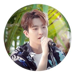 پیکسل بزرگ یونگجه گروه گات سون GOT7 کد 21004