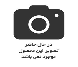 شیر ظرفشویی راسان مدل الیزه مات 