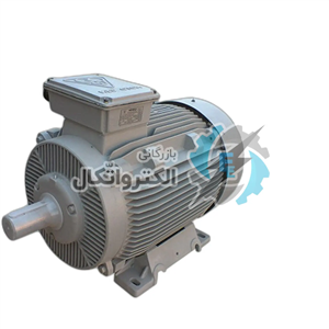 الکتروموتور موتوژن 30KW سه فاز 3000 دور