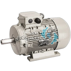 الکتروموتور 37 کیلووات 50 اسب سه فاز 3000 دور الکتروژن – B3 ا ELECTROGEN 3 phase Electric Motor 50 HP 37 KW