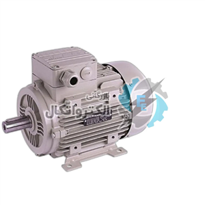 الکتروموتور ترک ایلماز 5.5 اسب سه فاز 3000 دور