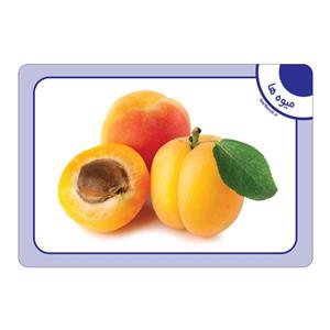 فلش کارت میوه ها انتشارات برف