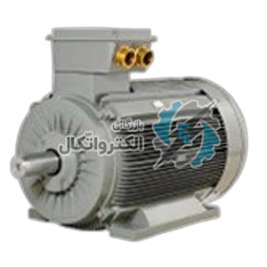 الکتروموتورهای گاماک ترکیه مدل ۱۰۰۰RPM-6P پوسته چدن