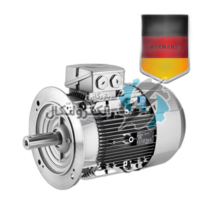 الکتروموتور سه فاز 3000 دور فلنج دار SIEMENS 110kw