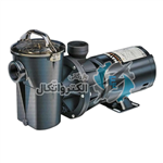 پمپ استخر هایوارد سری Power-Flo مدل SP1580TL ا Hayward Power-Flo SP1580TL 1 HP Swimming Pool Pump