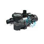 پمپ استخر لسوئیم مدل WL-KP556 ا Laswim WL-KP556 Pool Pump