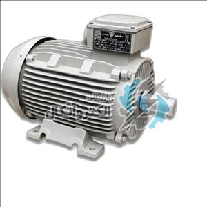 الکتروموتور موتوژن سه فاز چدنی 5.5 اسب 4 کیلووات 1500 دور