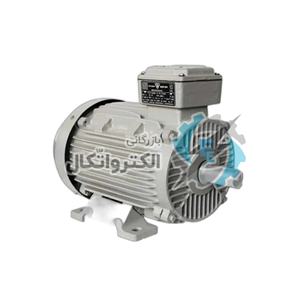 الکتروموتور موتوژن 4 کیلووات(5.5 اسب) سه فاز ، 3000 دور، پوسته چدن