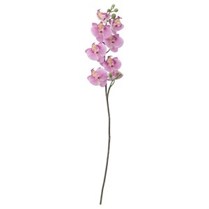 گل مصنوعی ارکیده ایکیا مدل IKEA SMYCKA