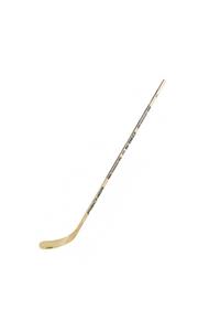 چوب اسکی هاکی روی یخ  Fischer fscherw150