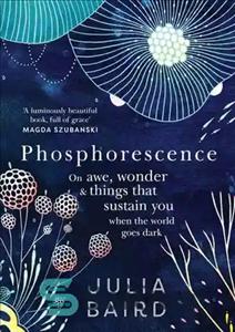 دانلود کتاب Phosphorescence: On Awe, Wonder and Things That Sustain You When the World Goes Dark – فسفرسانس: در مورد...