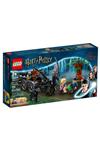 ارابه ها و تسترال ها هری پاتر هاگوارتز لگو  LEGO RKT-76400