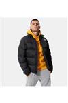 کاپشن نورث فیس مردانه The North Face TYC00597928747 