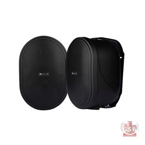 بلندگوی دیواری دکوراتیو پور اکوستیک Pure Acoustics PX-605T
