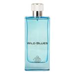 عطر مردانه فراگرنس ورد ویلد بلوز Wild Blues حجم 100