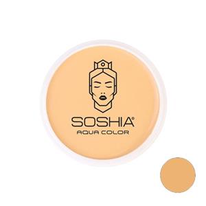 کرم گریم فشرده سوشیا مدل BC203 (عسلی طبیعی)