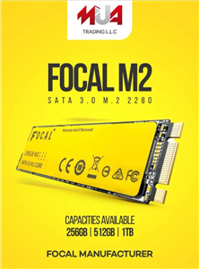 هارد اینترنال Focal 256GB SSD M.2 2280 SATA 3.0 