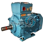 الکتروموتور سه فاز ضد انفجار موتوژن مدل Motogen-Al-1500RPM-5.5KW