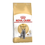 غذای خشک گربه بالغ بریتیش رویال کنین – Royal Canin British shorthair adult