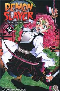 Demon Slayer 14 زبان انگلیسی
