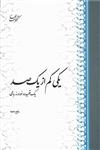 یکی کم از یکصد: یک قصیده و نود و نه رباعی