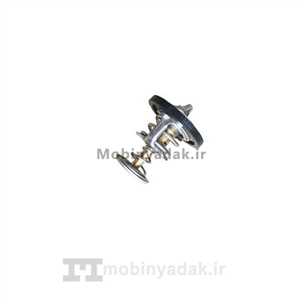 ترموستات آریزو 6