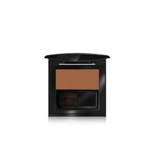 رژ گونه پودر فشرده فرش گلو این لی 06 Golden Wood اورجینال