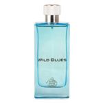 عطر مردانه فراگرنس ورد Wild Blues حجم 100 