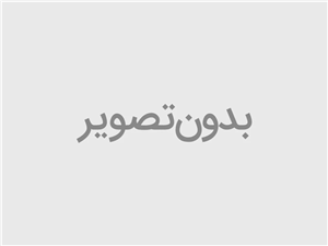 بارکداسکنر اسکای دوبعدی pt-218