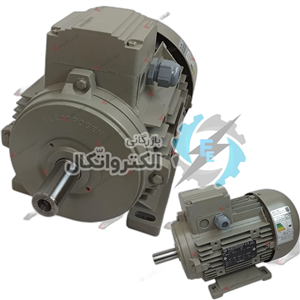 الکتروموتور سه فاز 18.5 کیلووات 25 اسب آلومینیومی الکتروژن