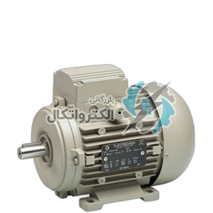 الکتروموتور 3 فاز فریم 180 چدنی 22 کیلووات (30 اسب) 3000 دور الکتروژن ا Electromotor 3-phase frame cast iron kW (29.5 hp) rpm 