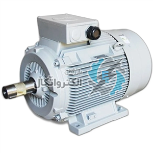 موتور صنعتی 30 اسب 22 کیلووات 3000 دور سه فاز الکتروژن