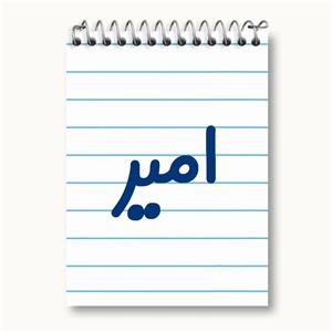 دفتر یادداشت امیر