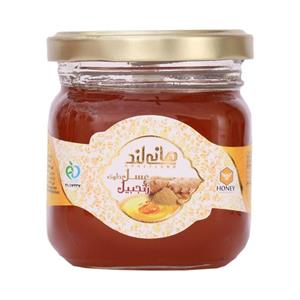 عسل طبیعی هانی لند Honey Land حاوی زنجبیل 250 گرم 