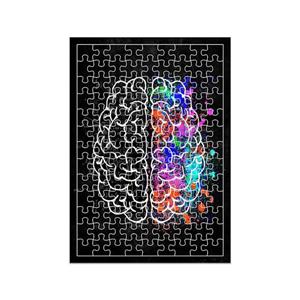 پازل 117 تکه مدل مغز کد 1660