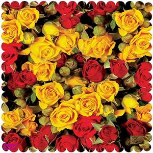 رومیزی رنس مدل T9-42800