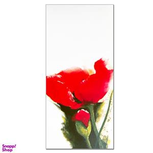 کارت پستال مدل گل شقایق کد BOL70 مجموعه 10 عددی