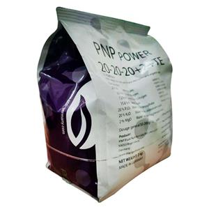 کود کامل NPK 20-20-20 1MgO پی ان پی مدل P2 وزن 2 کیلوگرم