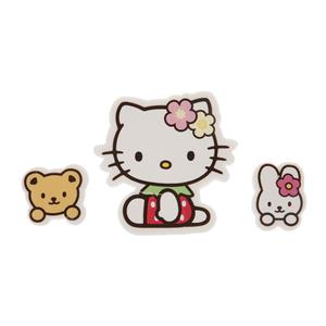 پاک کن سانریو مدل Hello Kitty