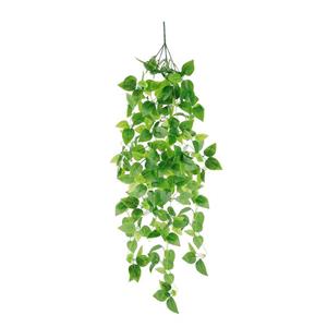 گل مصنوعی مدل آویز پتوس لمسی کد 1000