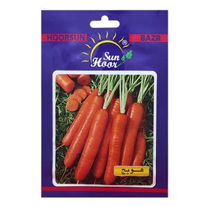 بذر هویج هورسان کد HSN-012