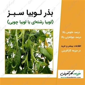 بذر لوبیا سبز - Green bean seed 