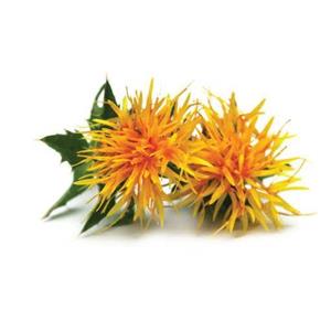 بذر گلرنگ - Safflower seed 