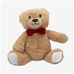 عروسک طرح خرس تدی مدل EDI Teddy Bear کد SZ13/1108 ارتفاع 24 سانتی‌متر
