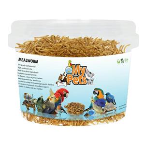غذای تشویقی پرندگان مای پتز مدل Mealworm وزن 40 گرم