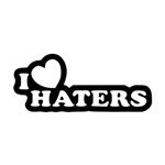 تابلو مینیمال رومادون طرح I Love Haters کد 2644