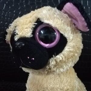 عروسک پولیشی مدل سگ چشم تیله ای سایز متوسط Eye Marbles Dog Plush Doll Size Medium