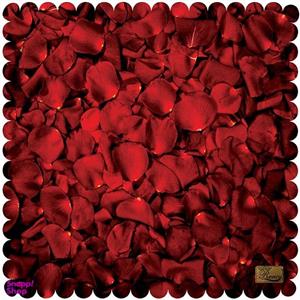 رومیزی رنس مدل T9-42803
