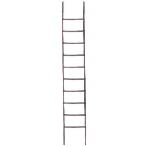 نردبان چابکی تی رکس مدل Force