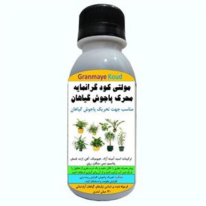 کود مایع کامل آلیومعدنی محرک پاجوش گیاهان خانگی مدل MultiPlus  حجم 120 میلی لیتر